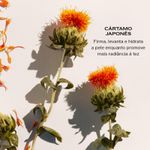 VPNDayCream_Ingredientes