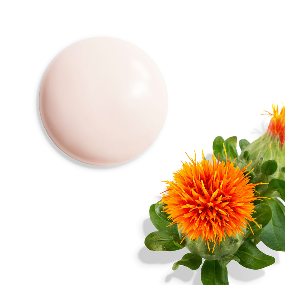 Emulsão Vital Perfection Uplifting Emulsion| Shiseido Emulsão Vital Perfection Uplifting Emulsion| Shiseido